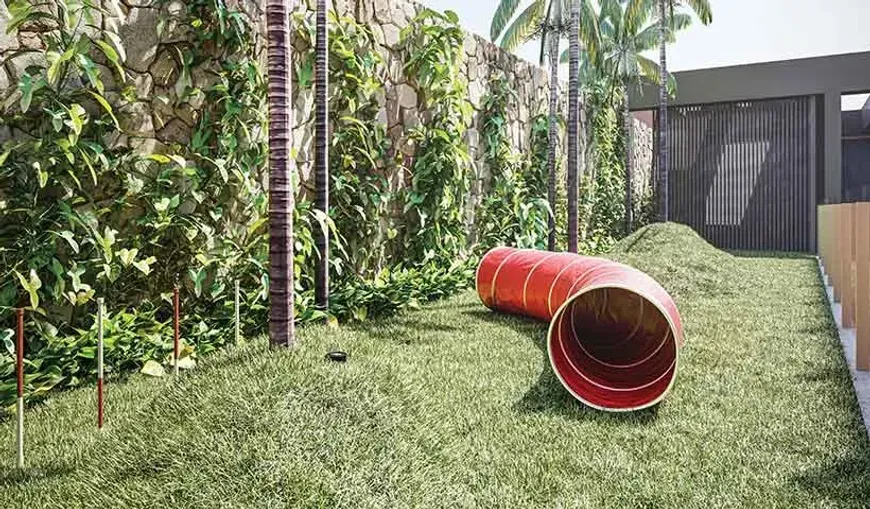 park-ibira-no-ibirapuera-sao-paulo (11)