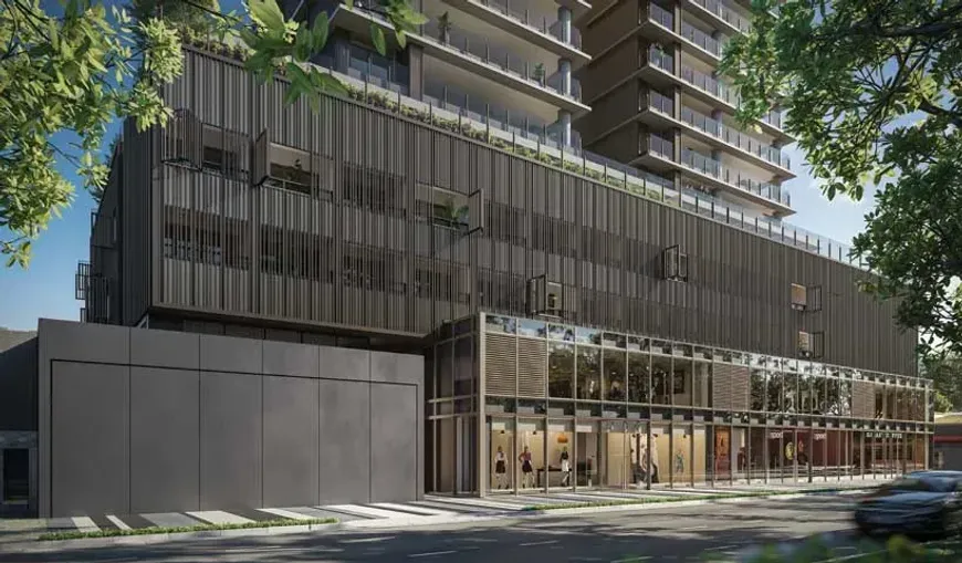 park-ibira-no-ibirapuera-sao-paulo (6)