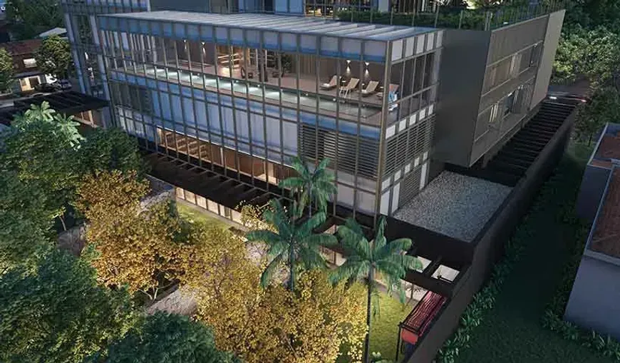 park-ibira-no-ibirapuera-sao-paulo (7)