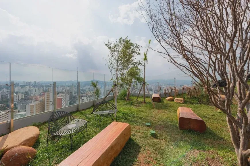 perdizes-jardim-l-no-jardim-vera-cruz-sao-paulo (3)