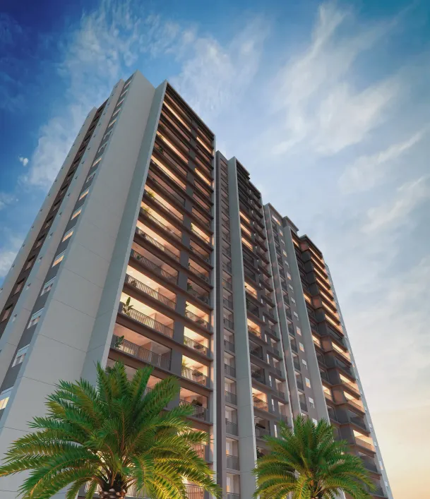 saude-lvg-no-saude-sao-paulo