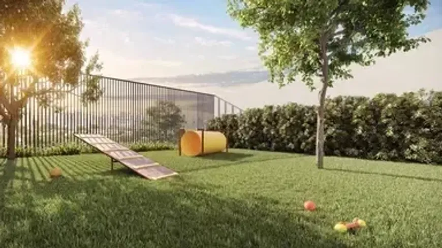 ypy-ipiranga-no-vila-dom-pedro-i-sao-paulo (7)